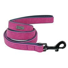Load image into Gallery viewer, Pet Dog Tag Collar Leash Lead BY CDG DISTRIBUTING