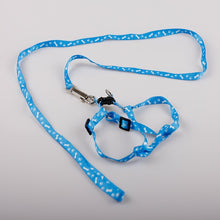 Load image into Gallery viewer, Pet Dog Bone Printing Harness and Leash BY CDG DISTRIBUTING
