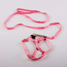 Load image into Gallery viewer, Pet Dog Bone Printing Harness and Leash BY CDG DISTRIBUTING
