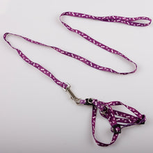 Load image into Gallery viewer, Pet Dog Bone Printing Harness and Leash BY CDG DISTRIBUTING